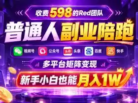 收费598的Red团队普通人副业陪跑,视频号、公众号、头条、百度、快手多平台矩阵变现,新手小白也能月入1W