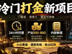 冷门打金新项目,24小时托管,产出500-800,内部教程【揭秘】