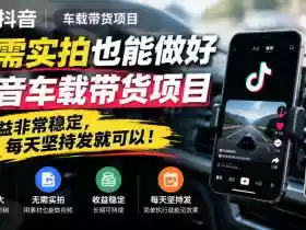 无需实拍也能做好抖音车载带货项目,收益非常稳定,每天坚持发就可以!