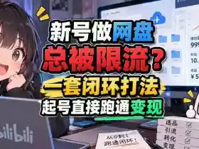 网盘拉新SOP:小白前期宝典,每一步都有明确动作,几千测试出来的打法,全程不限流