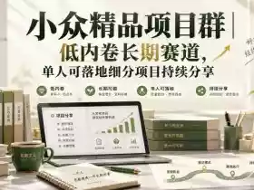 小众精品项目群|低内卷长期赛道,单人可落地细分项目持续分享(更新1029)