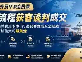 外贸VIP会员课|全流程获客谈判成交,学硬核外贸真本事,打通获客到成交全链路,把外贸技能变现賺美金