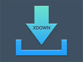 Xdown v2.0.6.5 | 免费无广告多线程下载工具