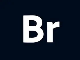 Adobe Bridge 2023 v13.0.4.755.0多语言特别版